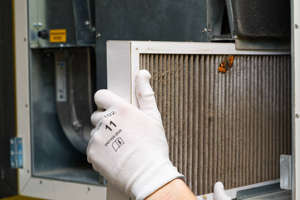 Best HVAC Duct Inspection Services  in Lewisburg, KY