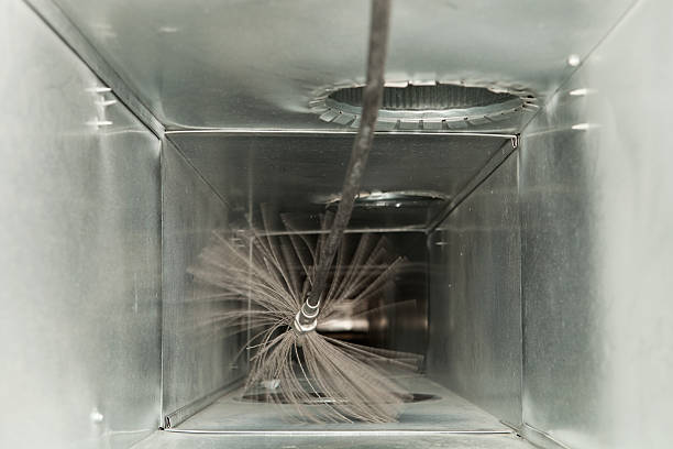 Best Air Duct Cleaning Near Me  in Lewisburg, KY
