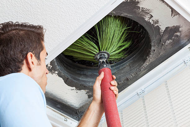 Best Residential Air Duct Cleaning  in Lewisburg, KY