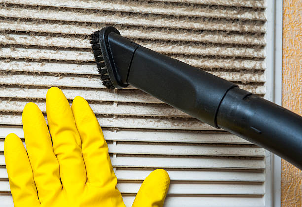 Best Dryer Vent Cleaning Services  in Lewisburg, KY